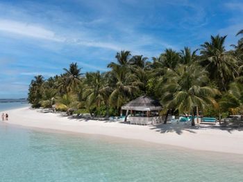 Фото отеля #6