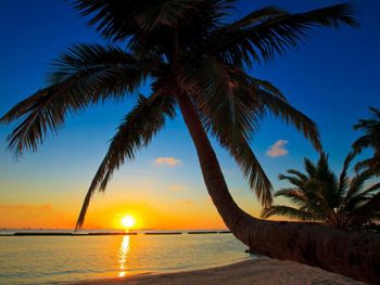 Фото отеля #88