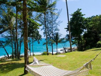 Фото отеля #50