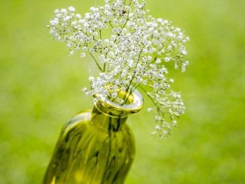 Фото отеля #62