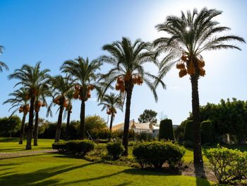 Фото отеля #82