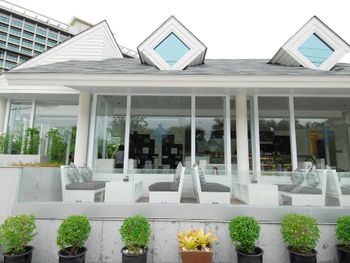 Фото отеля #117