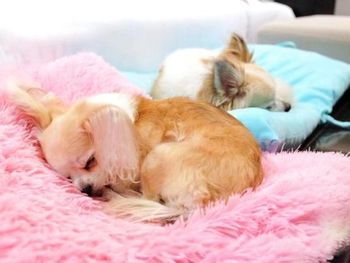 Фото отеля #155