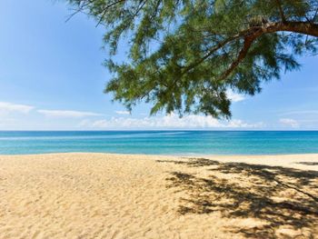 Фото отеля #83