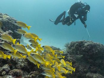 Фото отеля #126