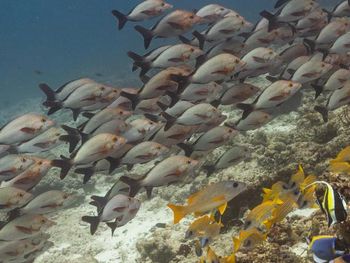 Фото отеля #127