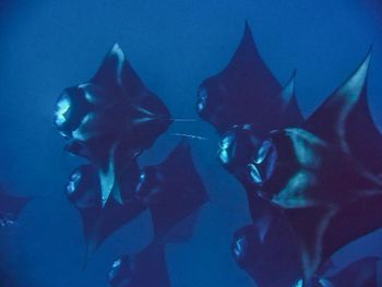 Фото отеля #104