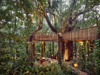 Фото отеля #110