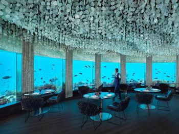 Фото отеля #117