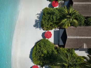 Фото отеля #84